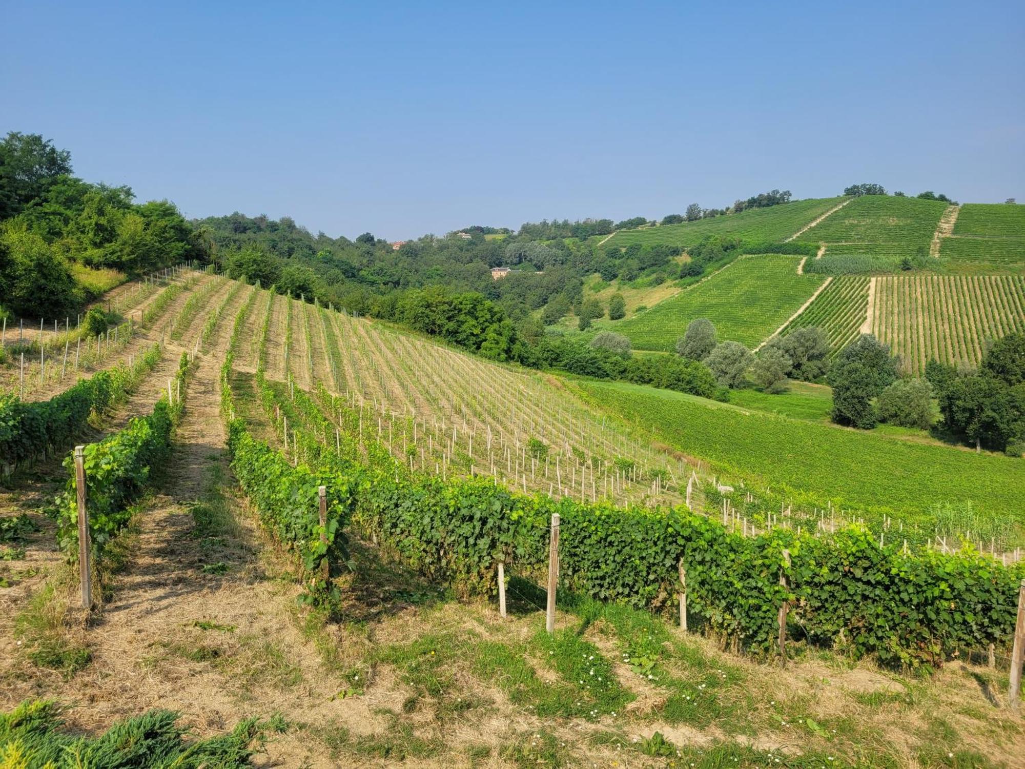Cascina Allegria Castelnuovo  Exterior photo